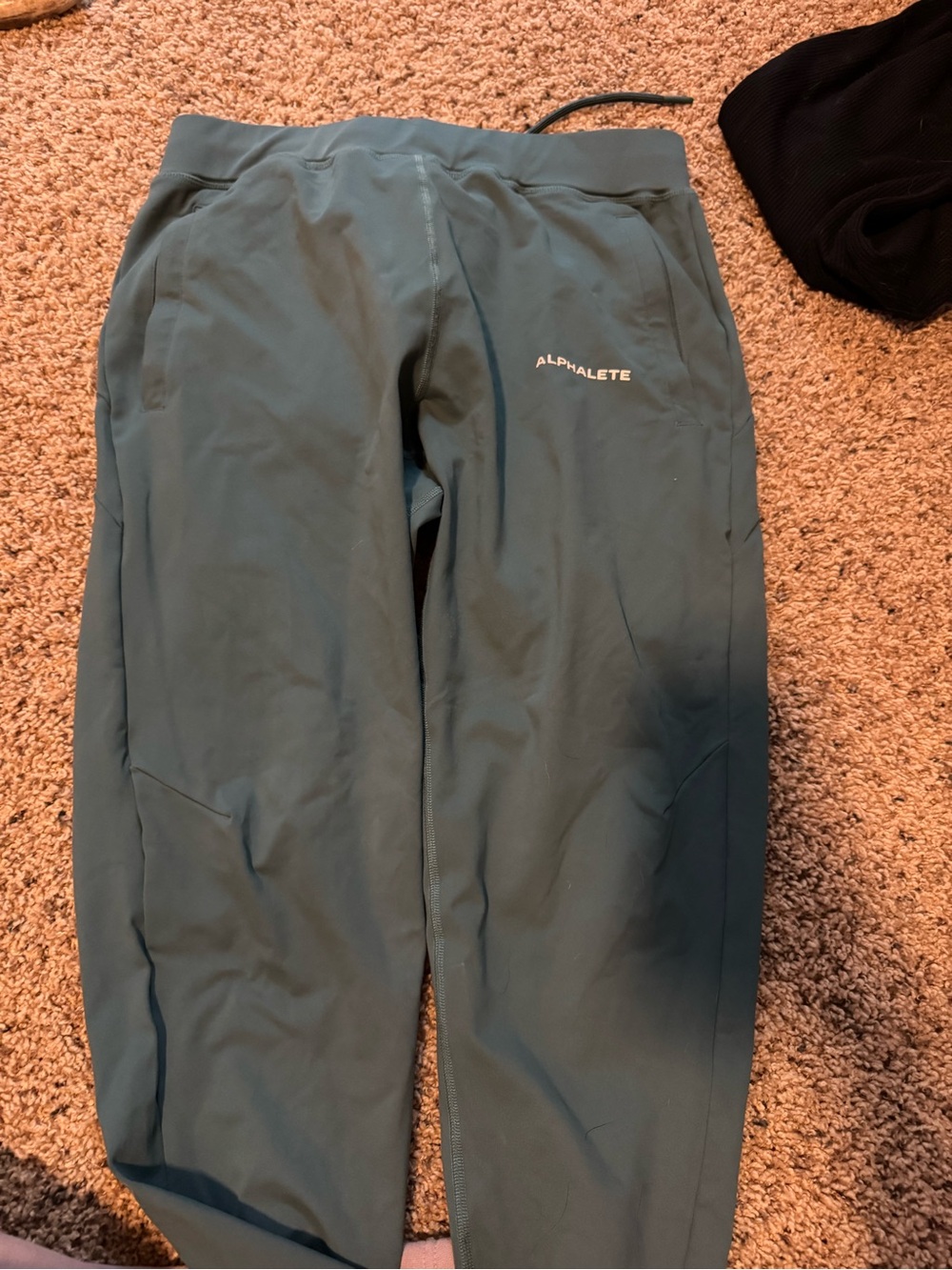Alphalete Men's Teal Performance Joggers